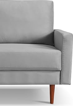 Modern Sofa